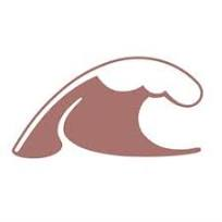 American Experience Wave Logo
